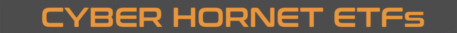 Cyber Hornet logo